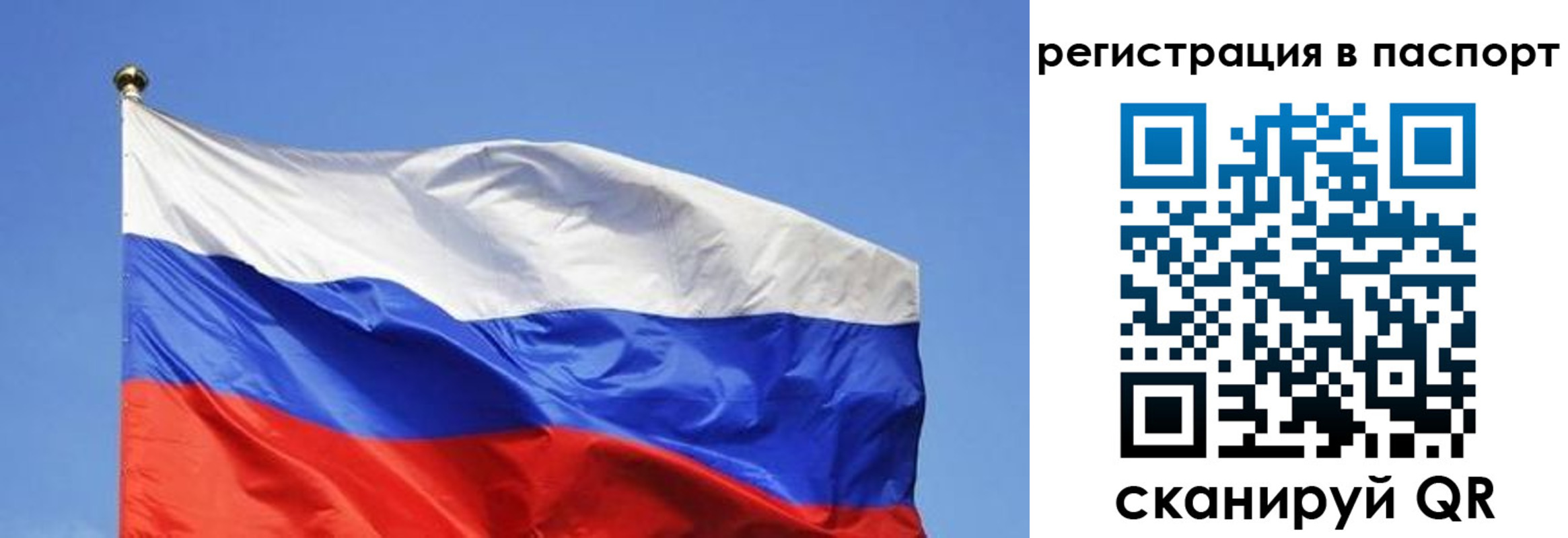 прописка в квартире в Волжске